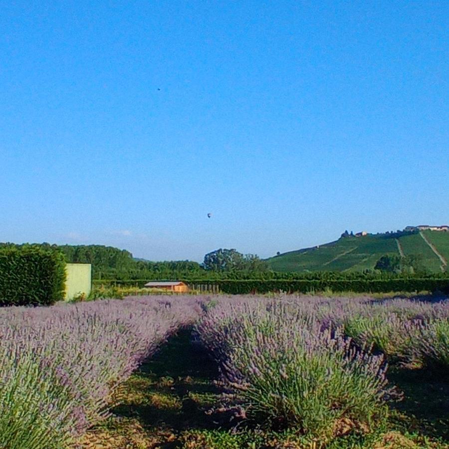 La Cascina Di Carlotta 1846 Agriturismo อัลบา ภายนอก รูปภาพ