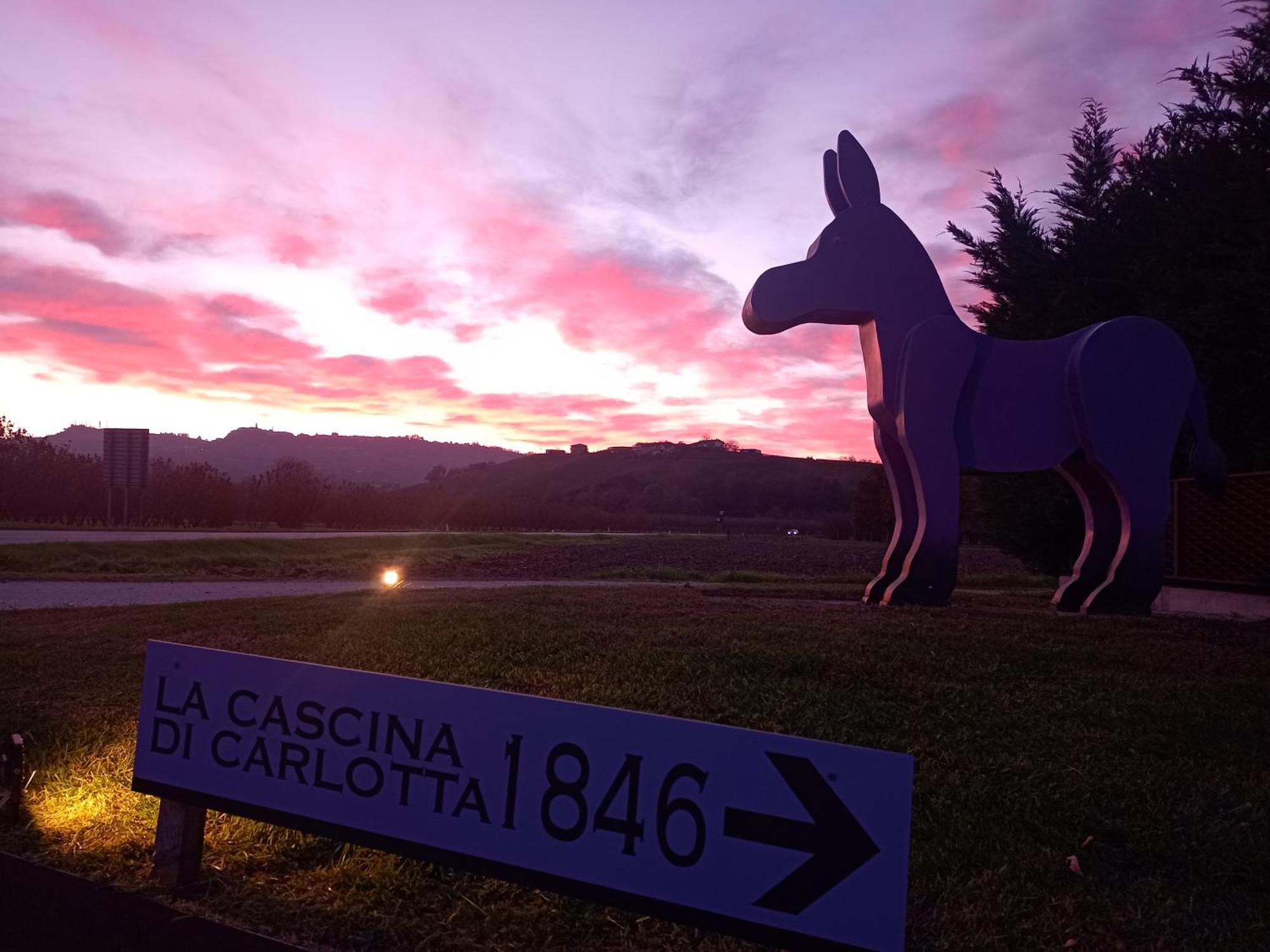 La Cascina Di Carlotta 1846 Agriturismo อัลบา ภายนอก รูปภาพ